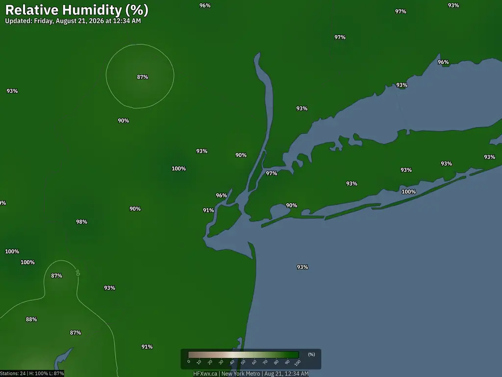 Current New York Humidity