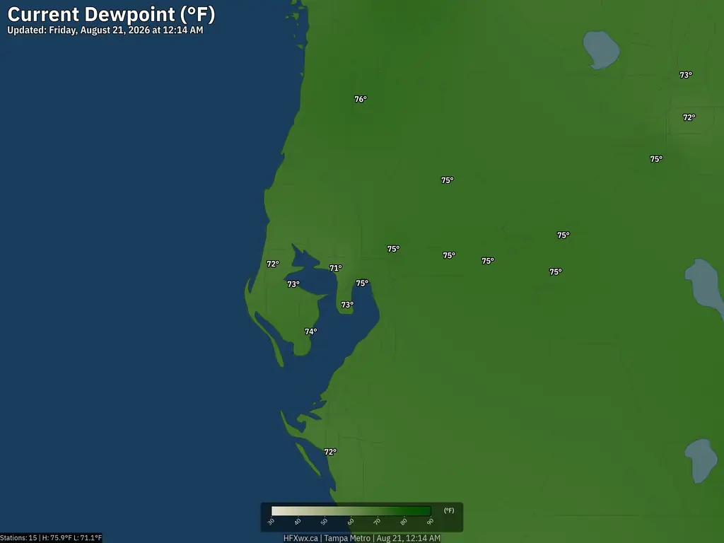 Current Tampa Dewpoint