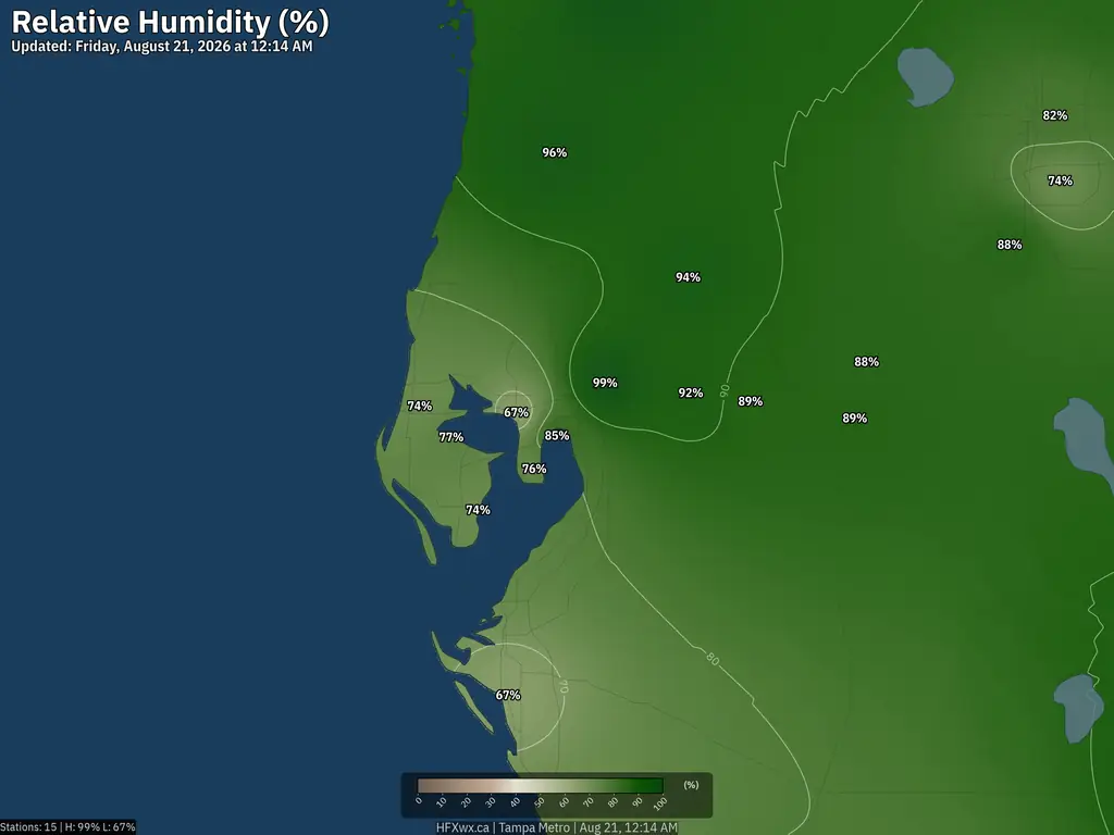 Current Tampa Humidity